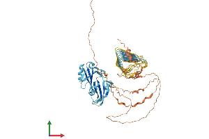 Protein Structure (PS) image for Deleted In Azoospermia 4 (DAZ4) (AA 1-579) protein (His tag) (ABIN7547006)