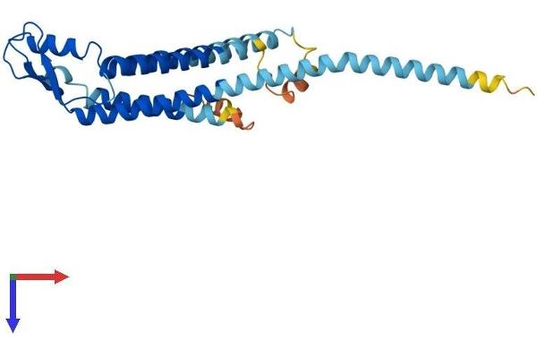 GJB6 Protein (AA 1-261) (His tag)