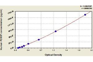 P2RX7 ELISA Kit