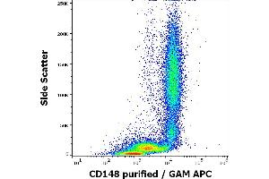 Flow cytometry surface staining pattern of human peripheral whole blood stained using anti-human CD148 (MEM-CD148/05) purified antibody (concentration in sample 2 μg/mL, GAM APC). (PTPRJ Antikörper  (AA 1-444))