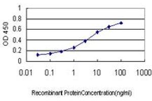 Detection limit for recombinant GST tagged PPBP is approximately 0. (CXCL7 Antikörper  (AA 37-128))