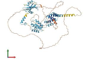 Protein Structure (PS) image for Paraneoplastic Ma Antigen Family Member 5 (PNMA5) (AA 1-618) protein (His tag) (ABIN7557430)