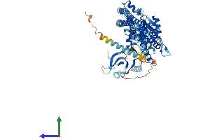 Protein Structure (PS) image for conserved Helix-Loop-Helix Ubiquitous Kinase (CHUK) (AA 1-745) protein (His tag) (ABIN7554164)