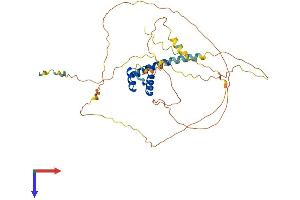 MNX1 Protein (AA 1-401) (His tag)