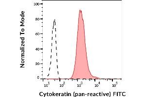 Separation of HeLa cell line (red-filled) from human peripheral whole blood (black-dashed) in flow cytometry analysis (intracellular staining) stained using anti-human cytokeratin (C-11) FITC antibody (concentration in sample 3 μg/mL). (Cytokeratins Antikörper (FITC))