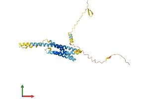 Protein Structure (PS) image for Transmembrane Protein 176B (TMEM176B) (AA 1-270) protein (His tag) (ABIN7544082)