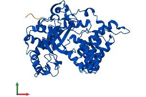 Protein Structure (PS) image for SET and MYND Domain Containing 2a (SMYD2A) (AA 1-433) protein (His tag) (ABIN7546180)