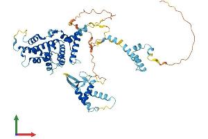 AlphaFold protein structure predicition of Mouse Recombinant Depdc1b Protein, UniprotID Q8BH88