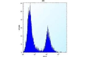 Flow cytometric analysis of 293 cells using IRF4 Antibody (Center) Cat.