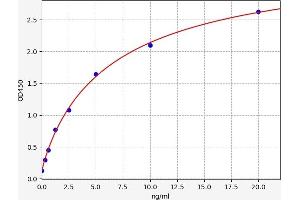 P2RX7 ELISA Kit