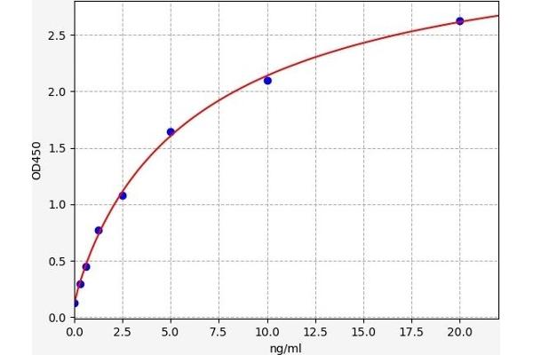 P2RX7 ELISA Kit