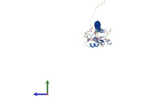 Protein Structure (PS) image for Cyclin B1 Interacting Protein 1 (CCNB1IP1) (AA 1-277) protein (His tag) (ABIN7553377)
