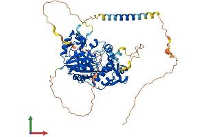 AlphaFold protein structure predicition of Human Recombinant CHST2 Protein, UniprotID Q9Y4C5 (CHST2 Protein (AA 1-530) (His tag))