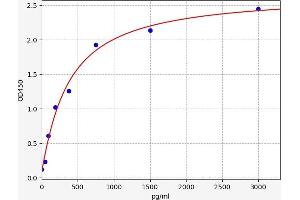 CSF1R ELISA Kit