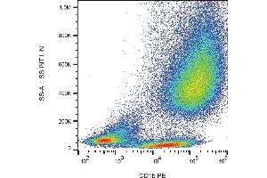 Flow cytometry analysis (surface staining) of IL-4 and GM-CSF stimulated human peripheral blood cells with anti-human CD1b (SN13) PE. (CD1b Antikörper  (PE))