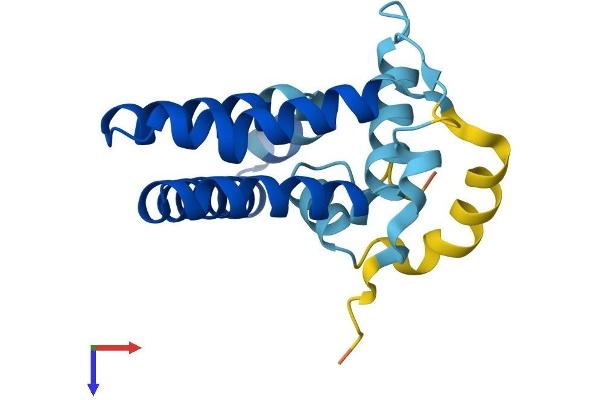 PRAF2 Protein (AA 1-178) (His tag)