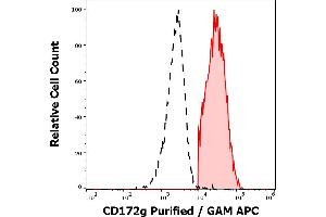 Separation of CD172g positive lymphocytes stained anti-human CD172g (OX-119) purified antibody (concentration in sample 1,7 μg/mL, GAM APC, red-filled) from lymphocytes unstained by primary antibody (GAM APC, black-dashed) in flow cytometry analysis (surface staining). (SIRPG Antikörper)