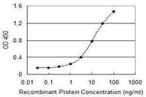 Detection limit for recombinant GST tagged EIF5B is 0. (EIF5B Antikörper  (AA 1121-1218))