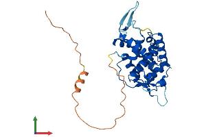 Protein Structure (PS) image for Golgi phosphoprotein 3 (Coat-Protein) (GOLPH3) (AA 1-298) protein (His tag) (ABIN7554034)