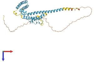 LUC7L Protein (AA 1-371) (His tag)