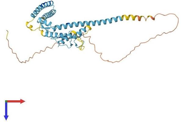 LUC7L Protein (AA 1-371) (His tag)