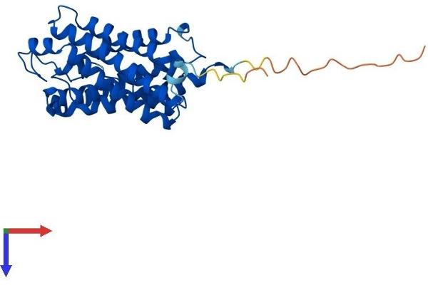 AQP9 Protein (AA 1-295) (His tag)