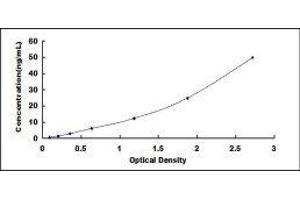 Glucose 6-Phosphatase, Catalytic (G6PC) ELISA Kit