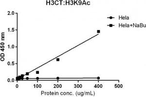 Sandwich ELISA against acetylated Histone H3 at Lys 9 using HeLa whole cell lysate, treated or untreated with sodium butyrate, using recombinant Histone H3 antibody (1ug/ml) as the capture and biotinylated anti-H3K9ac (RM161, 1ug/ml) as the detect. (Rekombinanter Histone 3 Antikörper  (C-Term, pan))