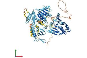 Protein Structure (PS) image for DNA Repair Protein Complementing XP-B Cells (ERCC3) (AA 1-782) protein (His tag) (ABIN7553806)
