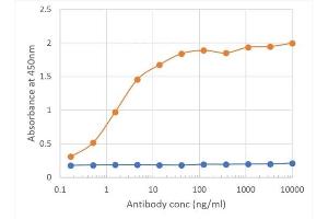 Binding curve of anti-CD27 antibody LG. (Rekombinanter CD27 Antikörper)