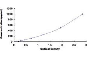 Typical standard curve (FGF3 ELISA Kit)