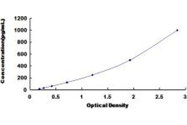 FGF3 ELISA Kit