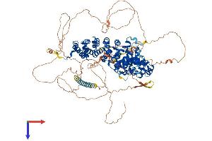 CTNND1 Protein (AA 1-938) (His tag)
