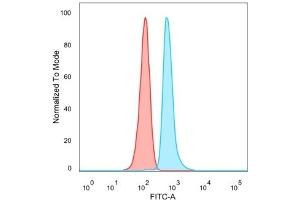 Flow Cytometric Analysis of PFA-fixed HeLa cells. (DMRT2 Antikörper)