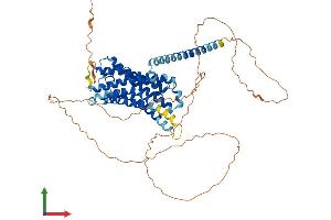 Protein Structure (PS) image for G Protein-Coupled Receptor 50 (GPR50) (AA 1-591) protein (His tag) (ABIN7562613)