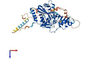 ATE1 Protein (AA 1-516) (His tag)