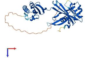 NUDT6 Protein (AA 1-313) (His tag)
