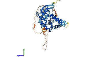 Protein Structure (PS) image for Mortality Factor 4 Like 1 (MORF4L1) (AA 1-362) protein (His tag) (ABIN7554597)