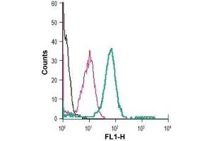 Cell surface detection of nAChRα7 in live intact human THP-1 monocytic leukemia cells: (black line) Cells.
