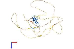MECP2 Protein (AA 1-486) (His tag)