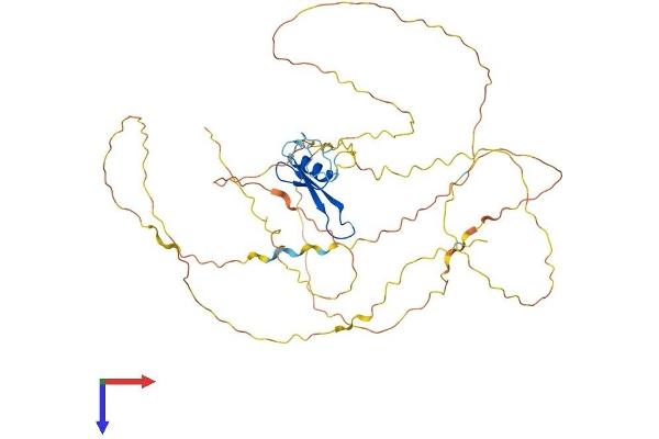 MECP2 Protein (AA 1-486) (His tag)
