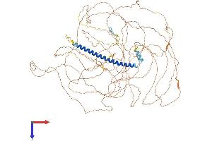 TSC22D1 Protein (AA 1-1073) (His tag)