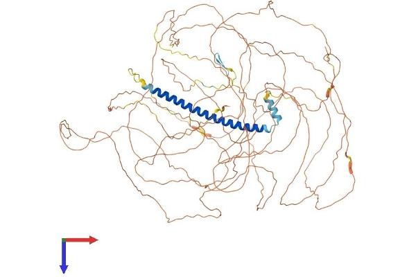 TSC22D1 Protein (AA 1-1073) (His tag)