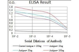 Black line: Control Antigen (100 ng), Purple line: Antigen(10 ng), Blue line: Antigen (50 ng), Red line: Antigen (100 ng), (PDE1B Antikörper  (AA 370-536))