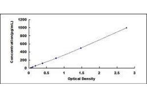 Typical standard curve (Interleukin 35 ELISA Kit)