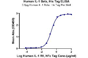 Immobilized Human IL-1 Beta, His Tag at 5 μg/mL (100 μL/Well) on the plate. (IL-1 beta Protein (AA 117-269) (His-Avi Tag))