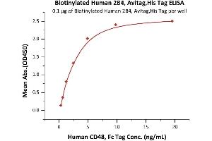 Immobilized Biotinylated Human 2B4, Avitag,His Tag (recommended for biopanning) (ABIN5674581,ABIN6253686) at 1 μg/mL (100 μL/well) on streptavidin precoated (0. (2B4 Protein (AA 22-221) (His tag,AVI tag,Biotin))