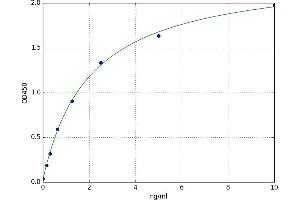 Histone Deacetylase 2 (HDAC2) ELISA Kit