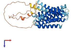 SLC39A11 Protein (AA 1-342) (His tag)