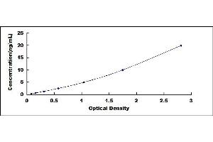 Typical standard curve (Cathepsin B ELISA Kit)